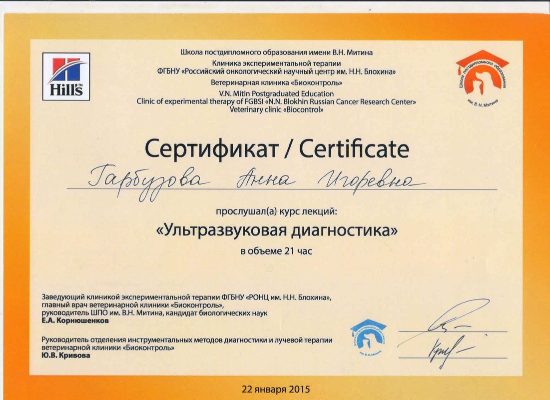 Документ или сертификат