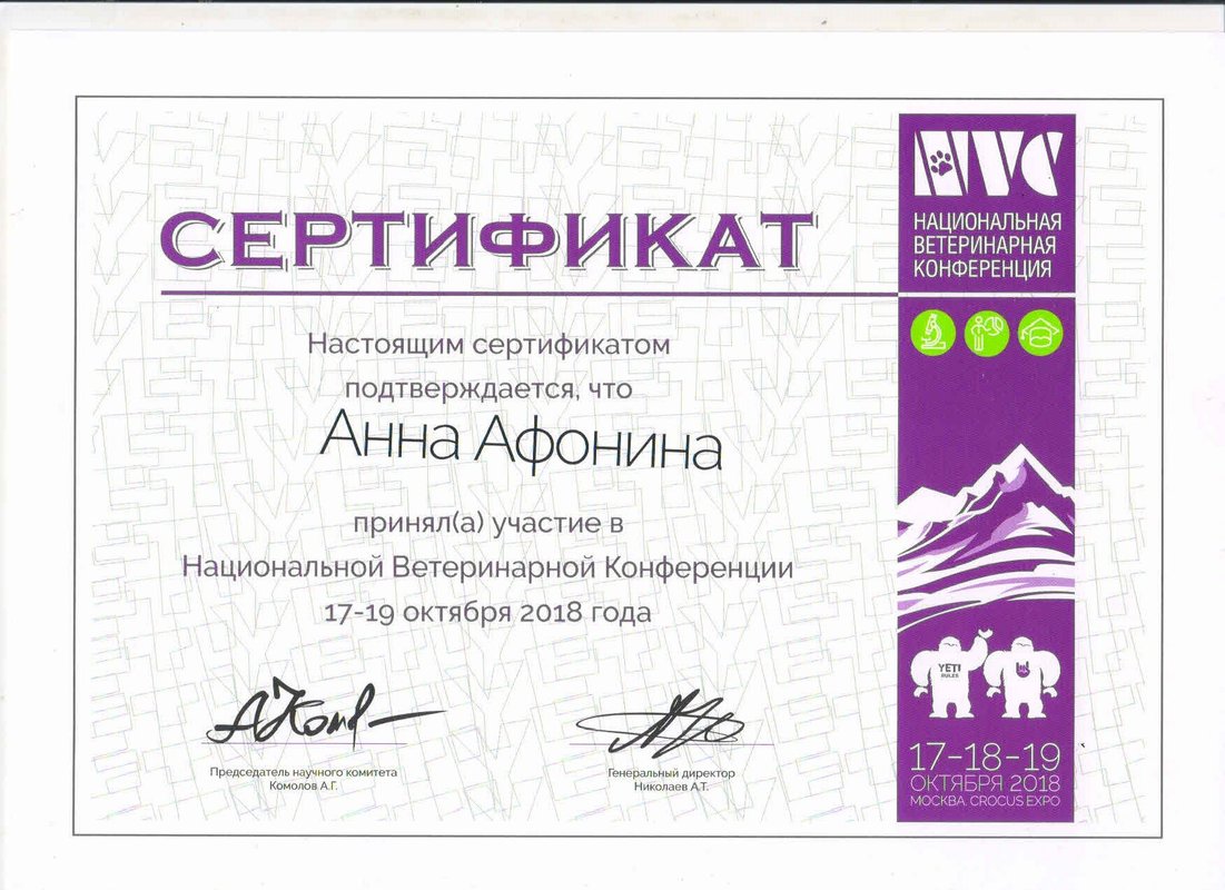 Документ или сертификат