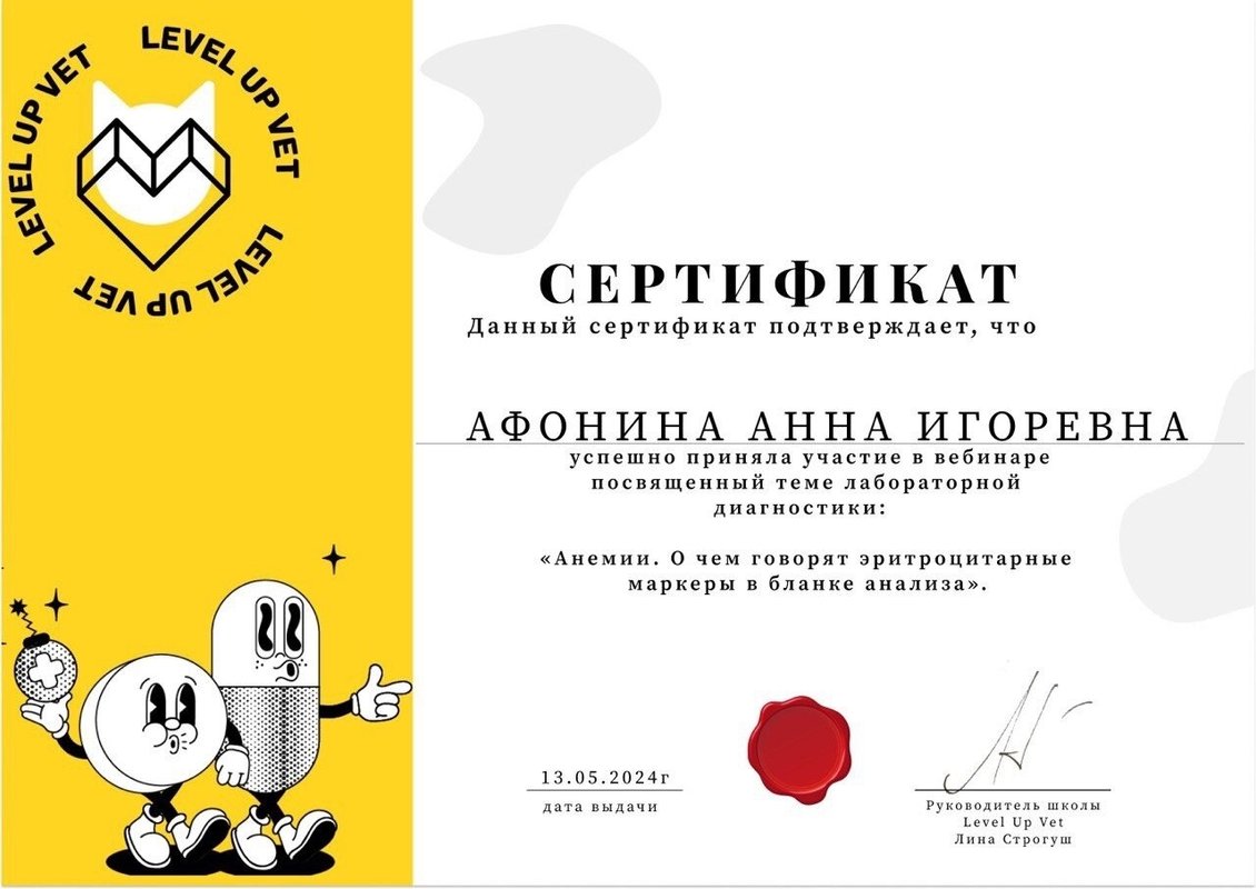 Документ или сертификат