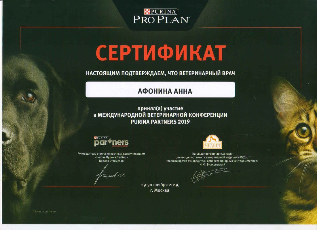 Документ или сертификат
