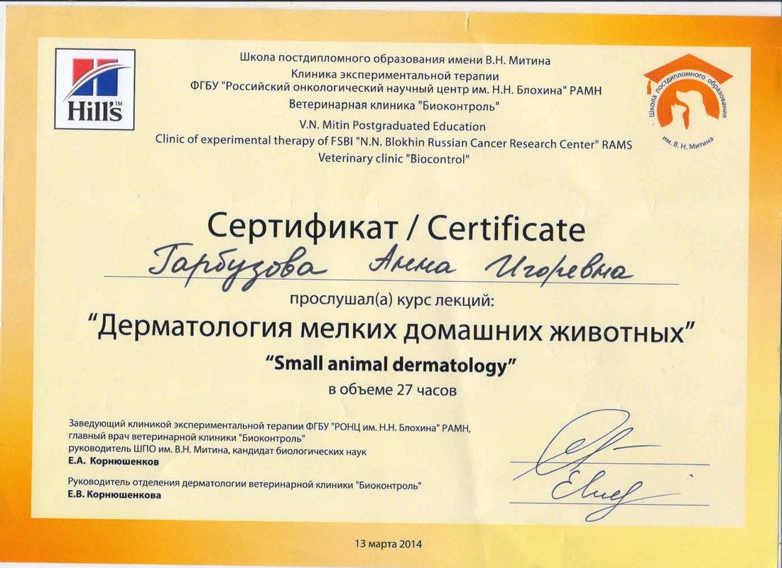 Документ или сертификат