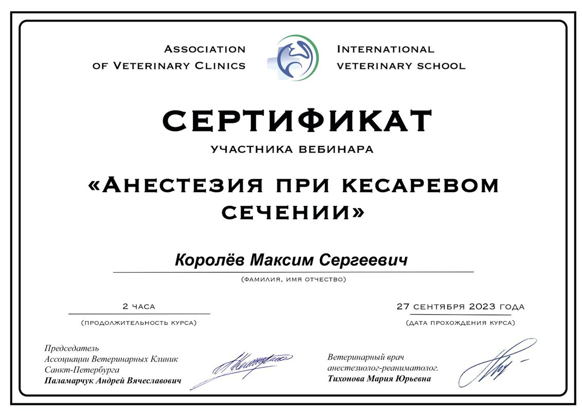 Документ или сертификат