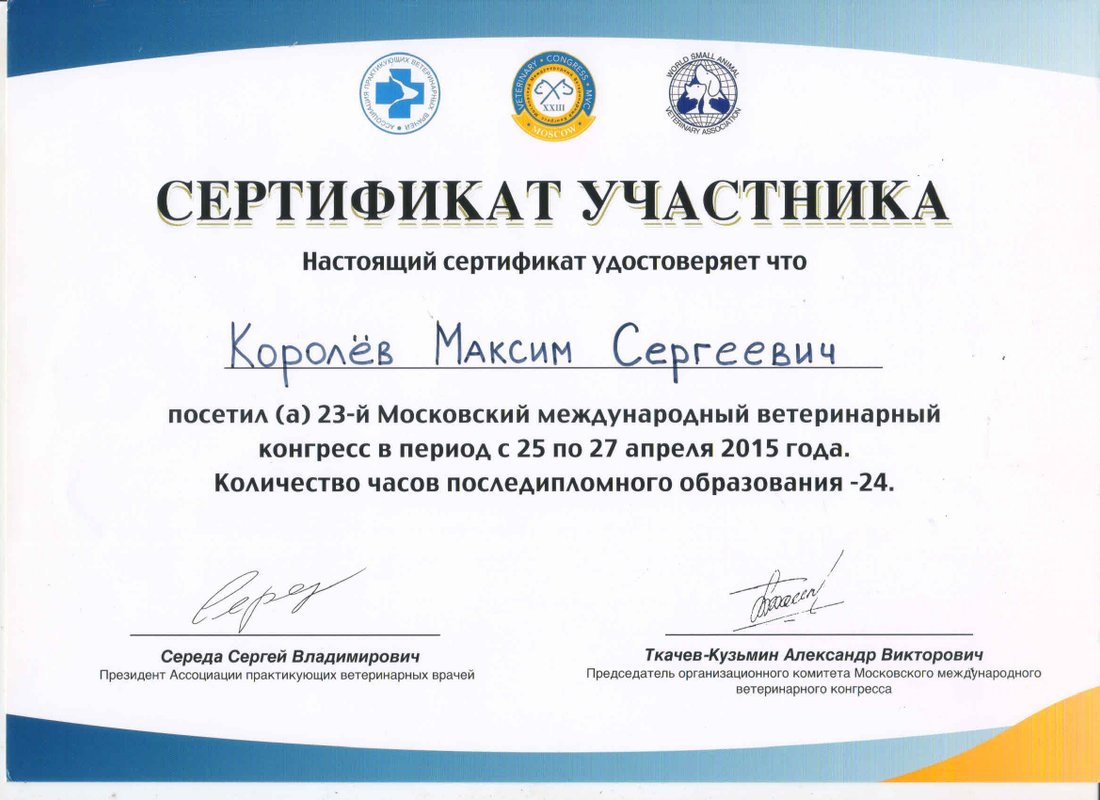 Документ или сертификат
