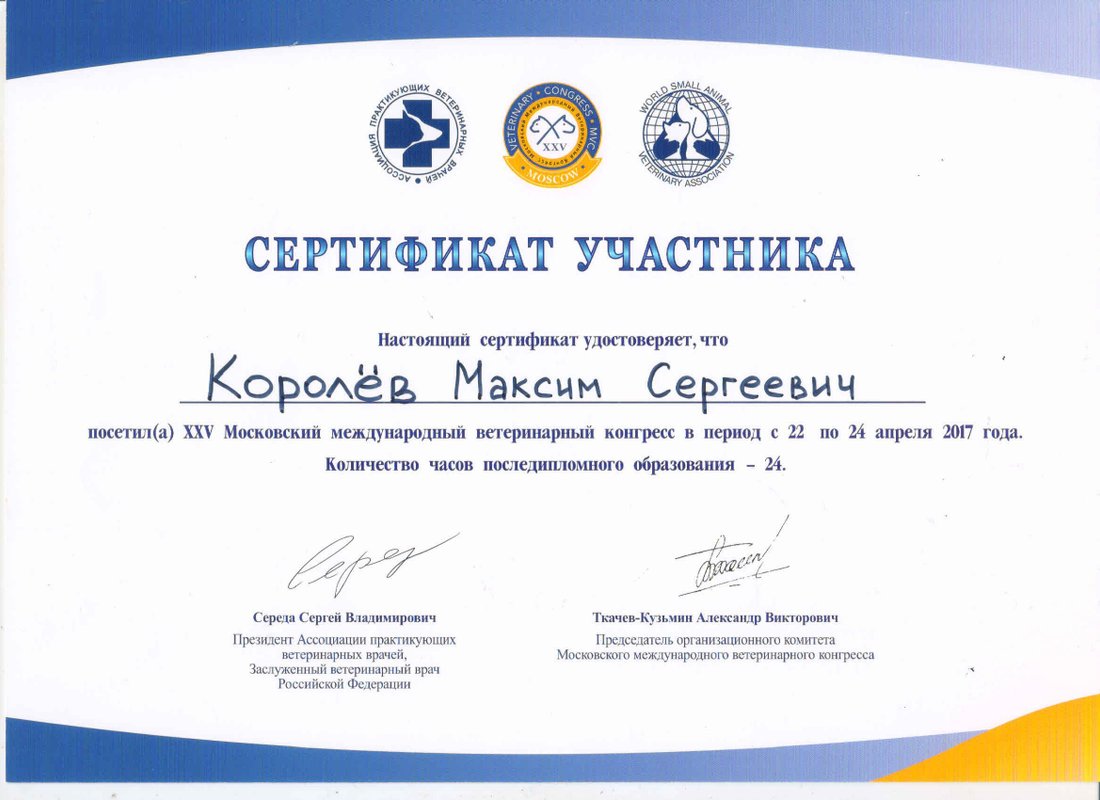 Документ или сертификат