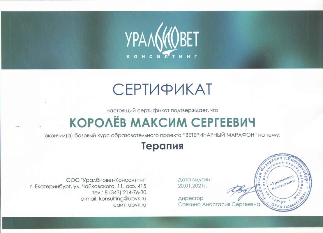 Документ или сертификат