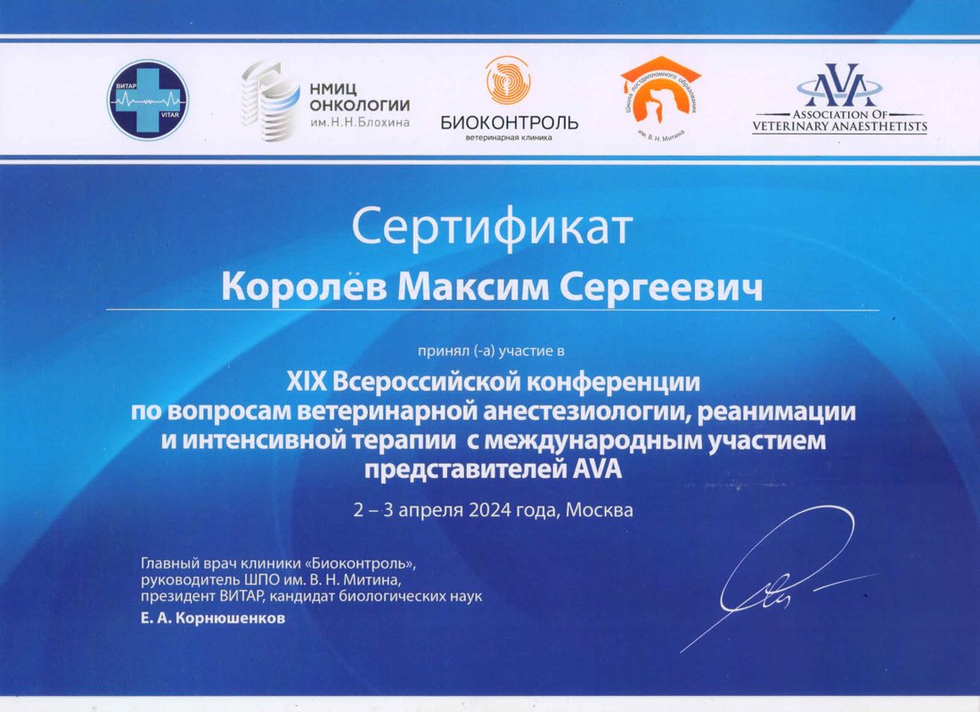 Документ или сертификат