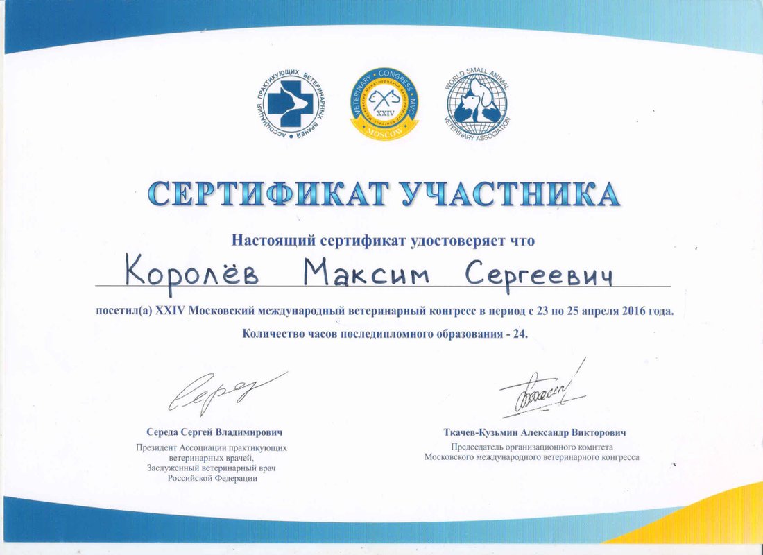 Документ или сертификат