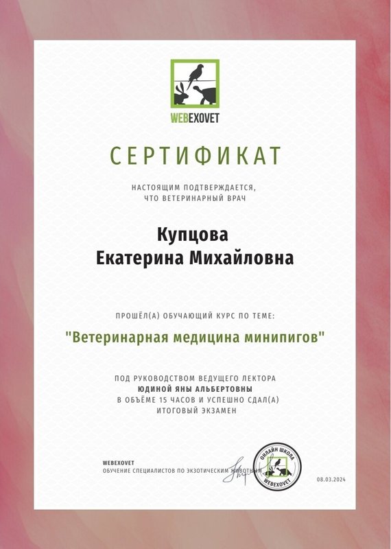 Документ или сертификат