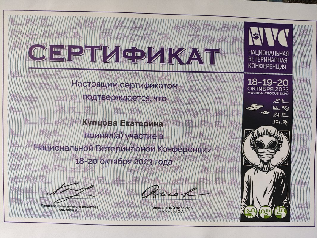 Документ или сертификат