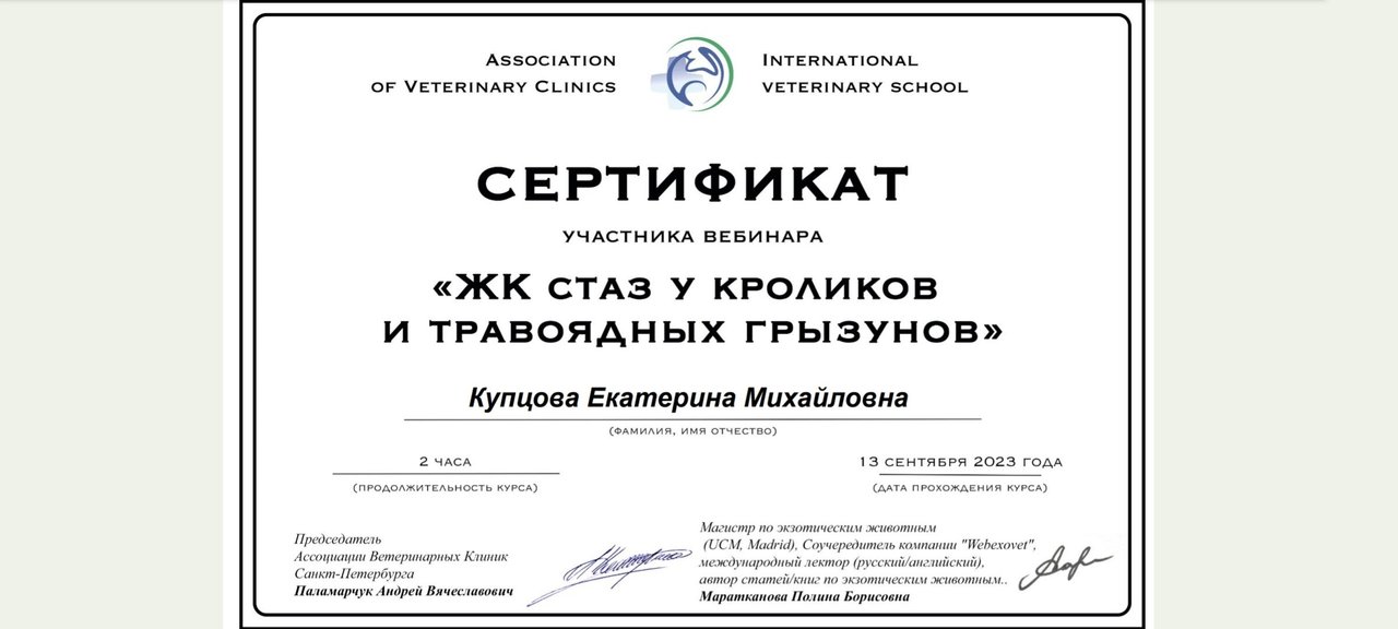Документ или сертификат
