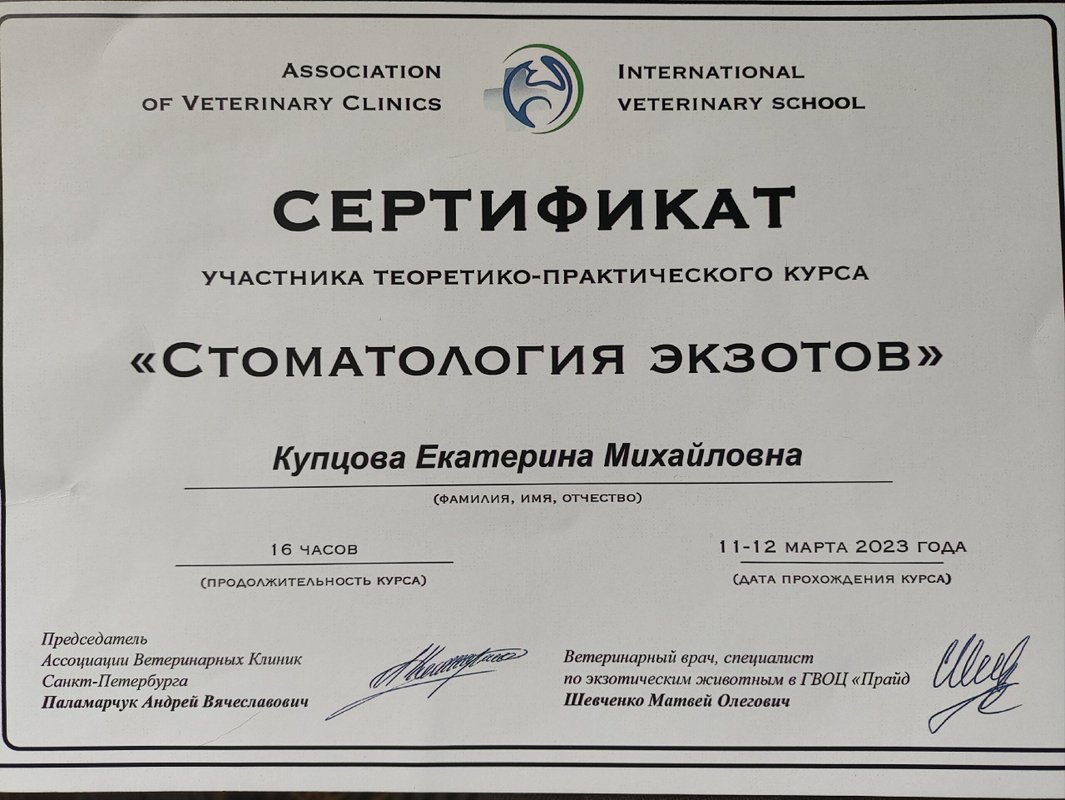 Документ или сертификат