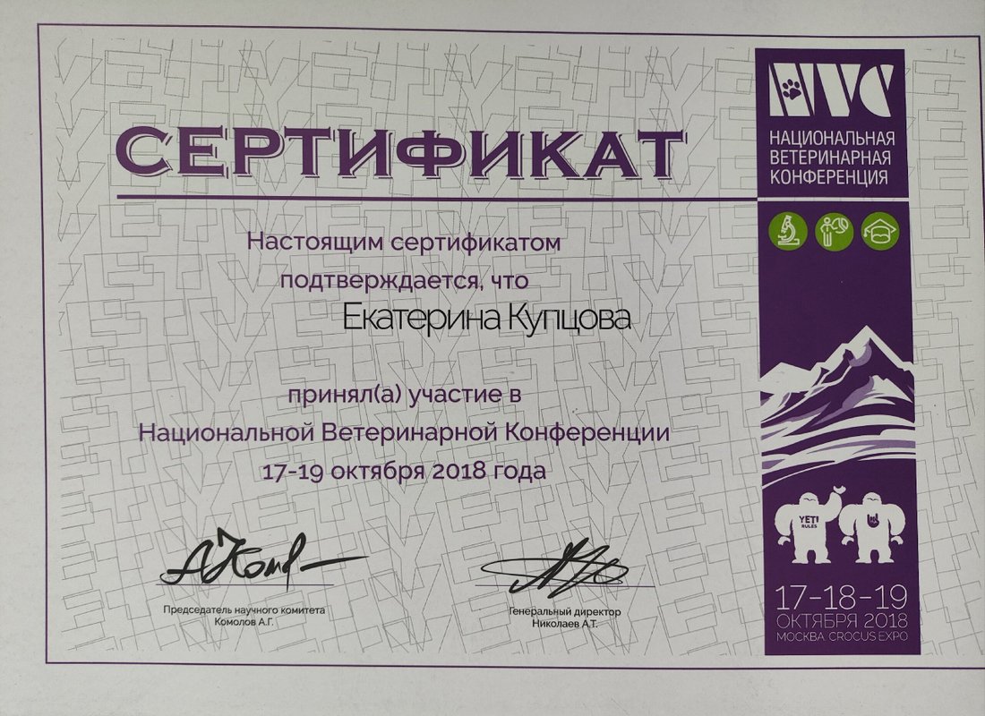 Документ или сертификат