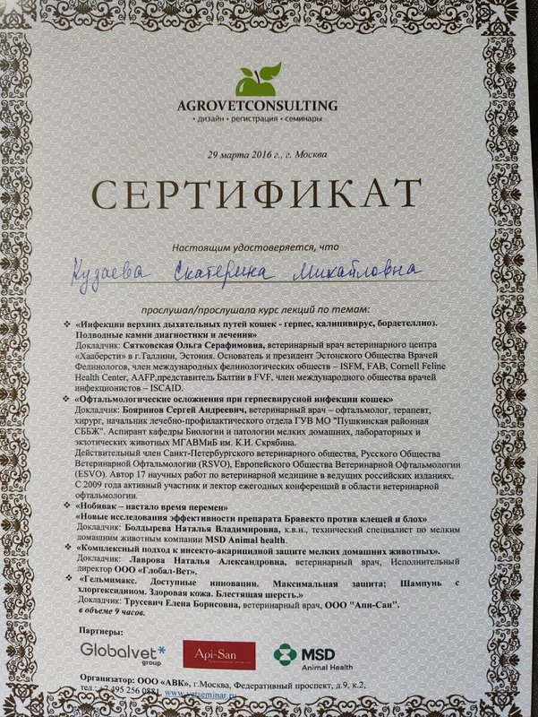 Документ или сертификат