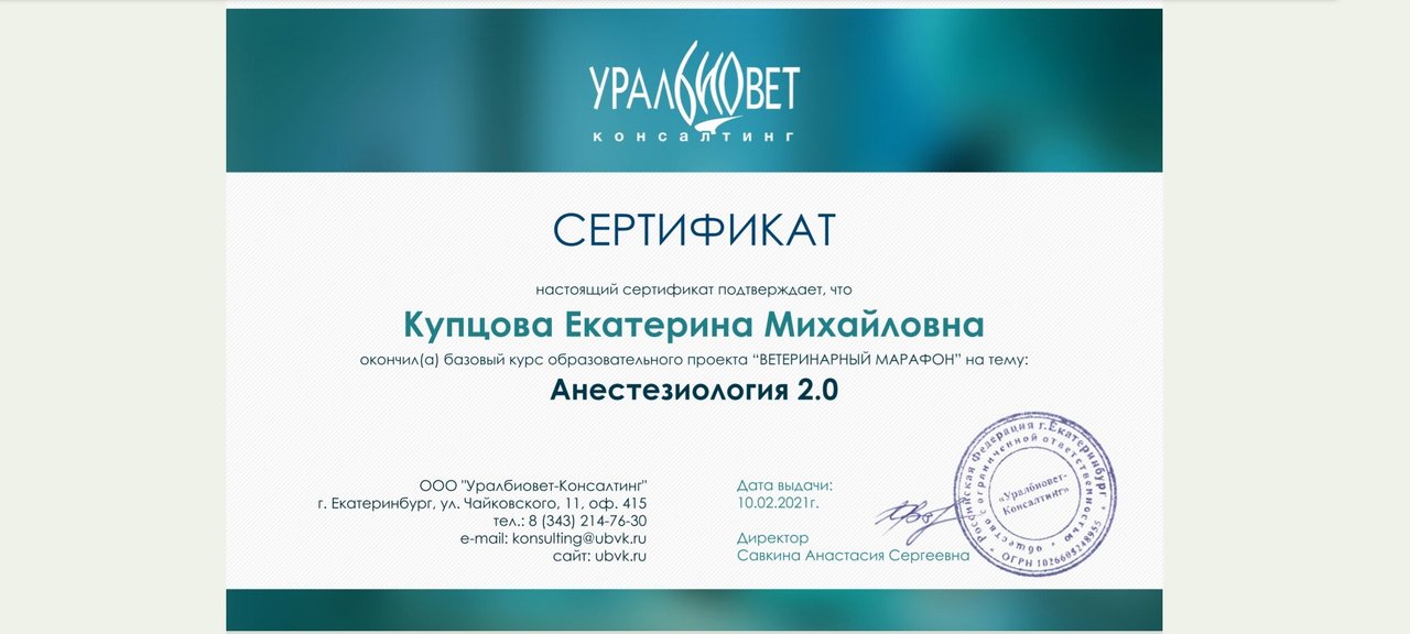 Документ или сертификат