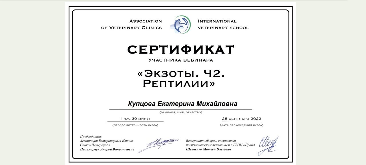 Документ или сертификат
