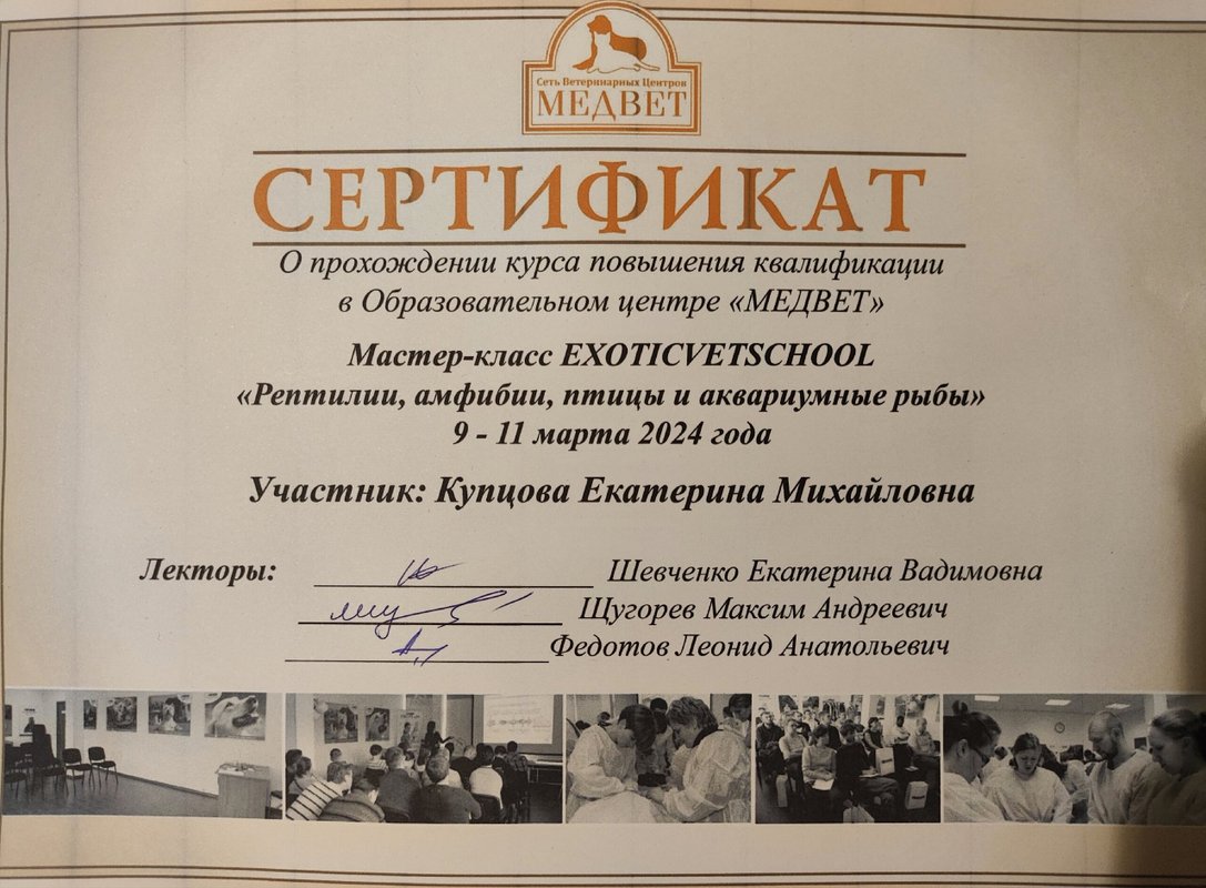 Документ или сертификат