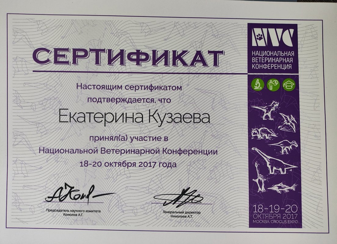 Документ или сертификат