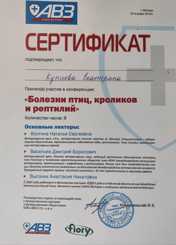 Документ или сертификат