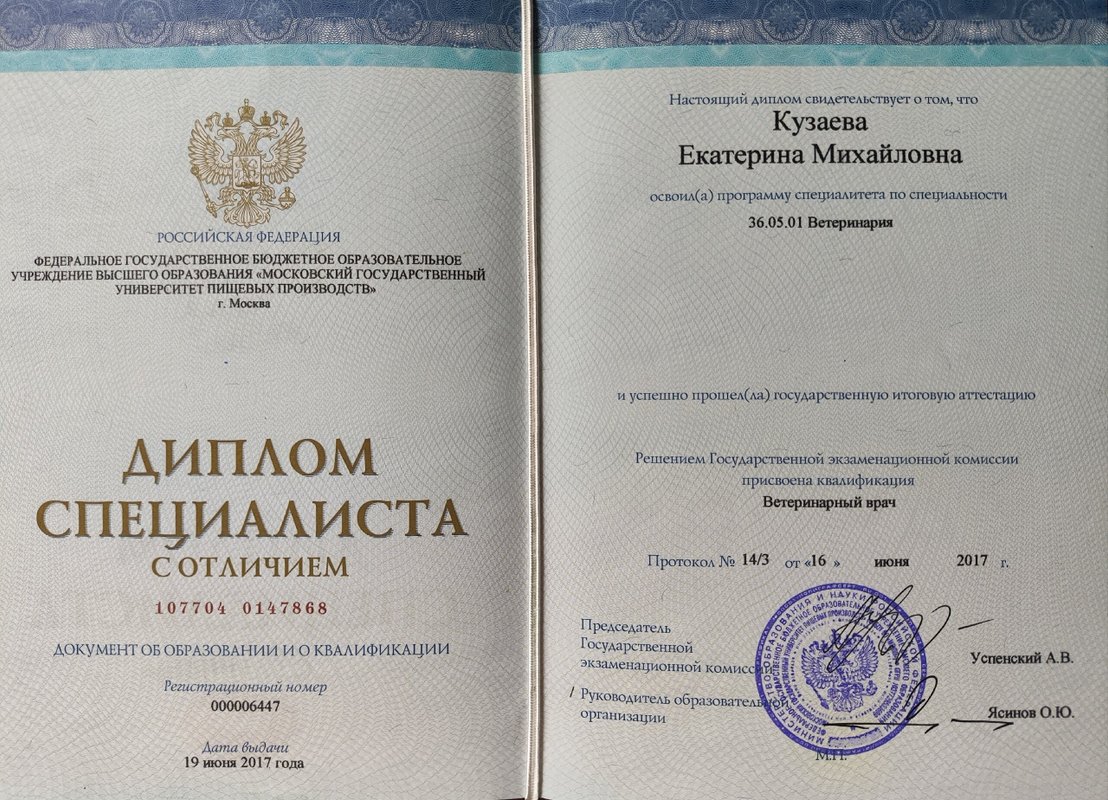 Документ или сертификат
