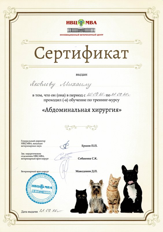 Документ или сертификат