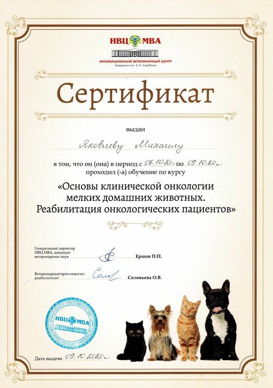 Документ или сертификат