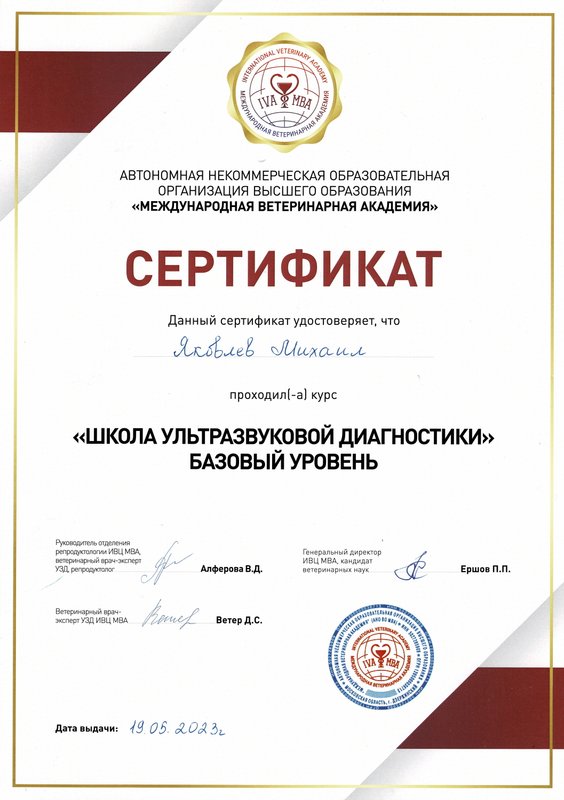 Документ или сертификат