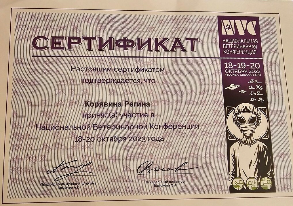 Документ или сертификат