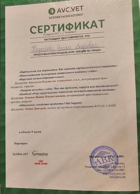 Документ или сертификат