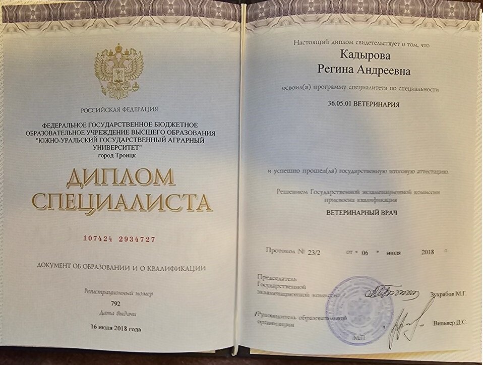 Документ или сертификат