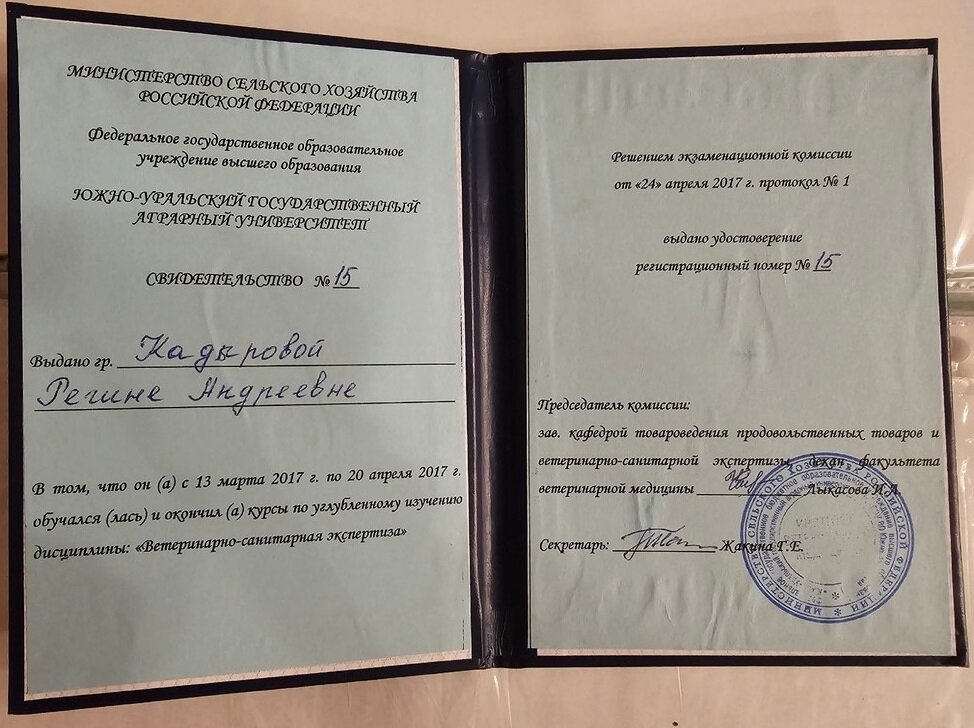 Документ или сертификат