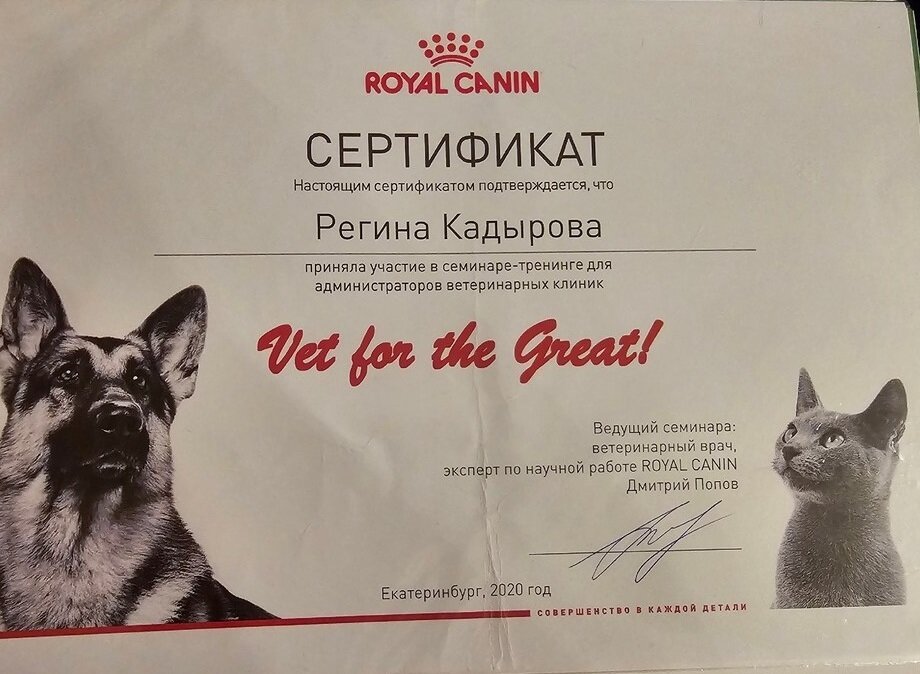 Документ или сертификат