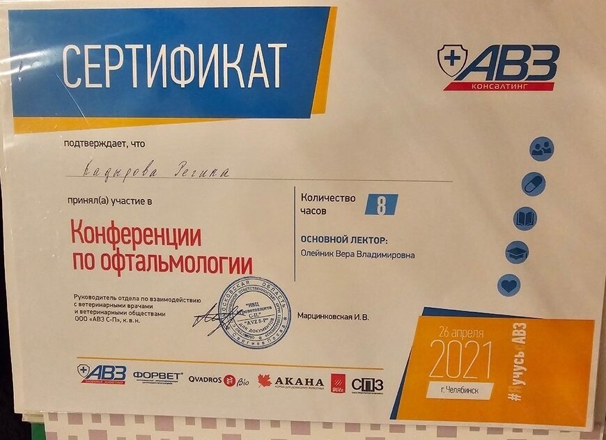 Документ или сертификат