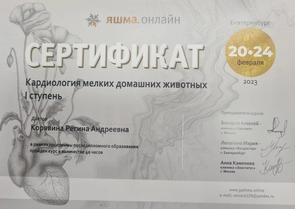 Документ или сертификат