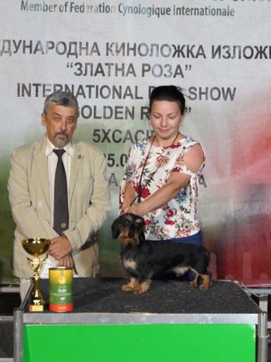 Фото врача Еремеева Татьяна Сергеевна