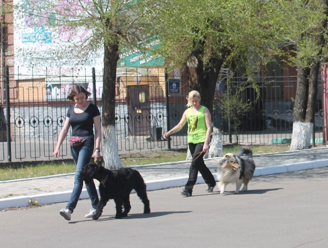 Фото врача