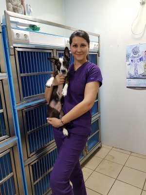 Фото врача Букша Ольга Вениаминовна
