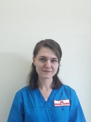 Фото врача Логачева Виктория Олеговна