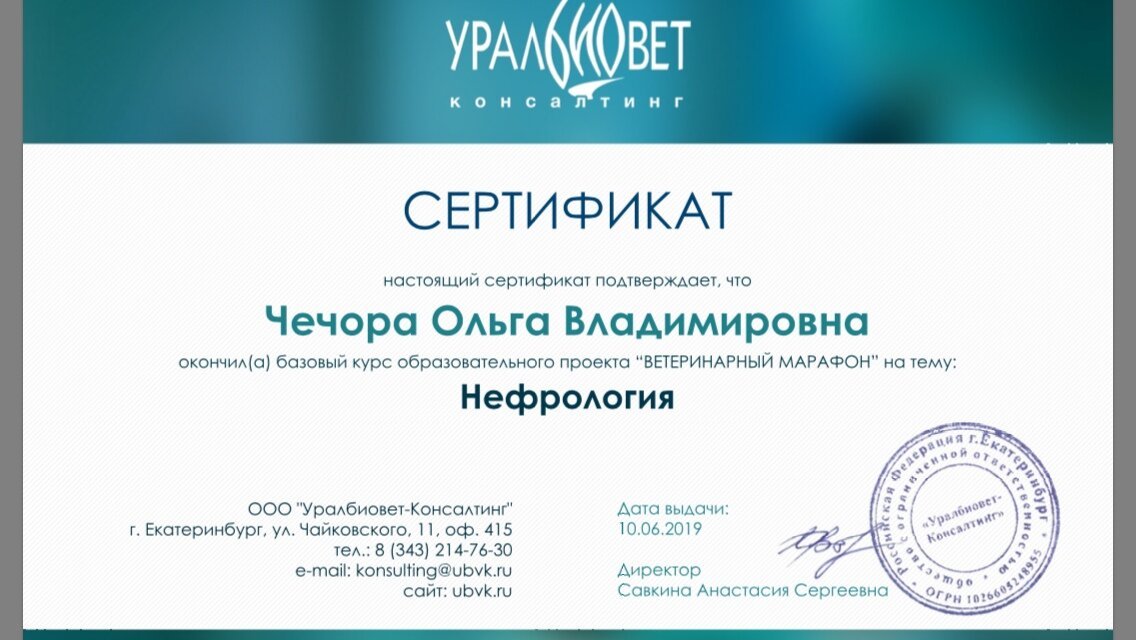 Документ или сертификат
