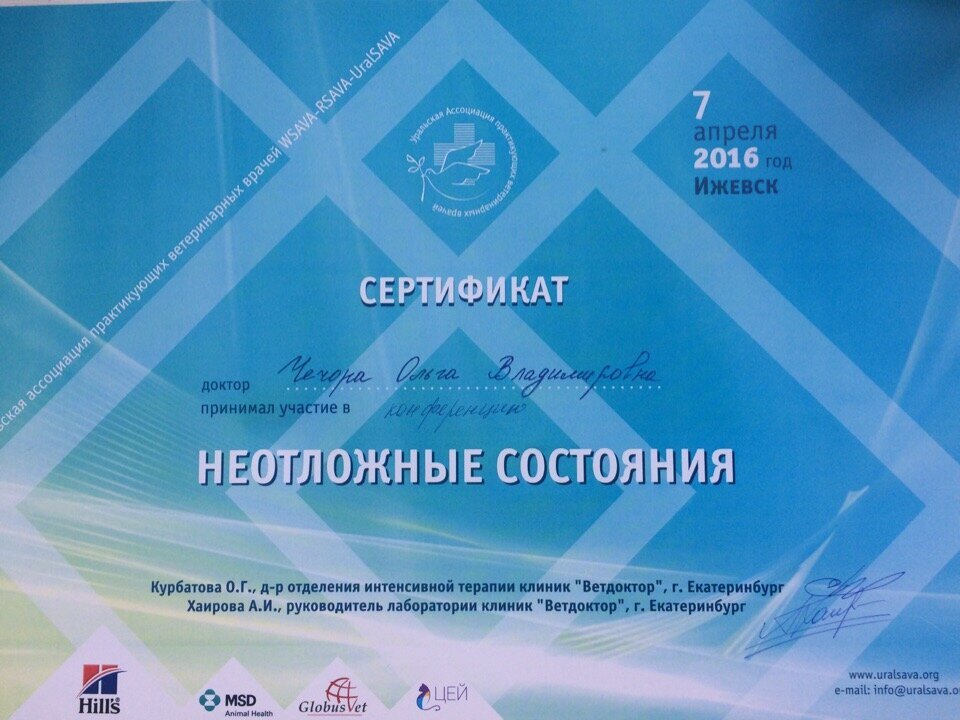 Документ или сертификат