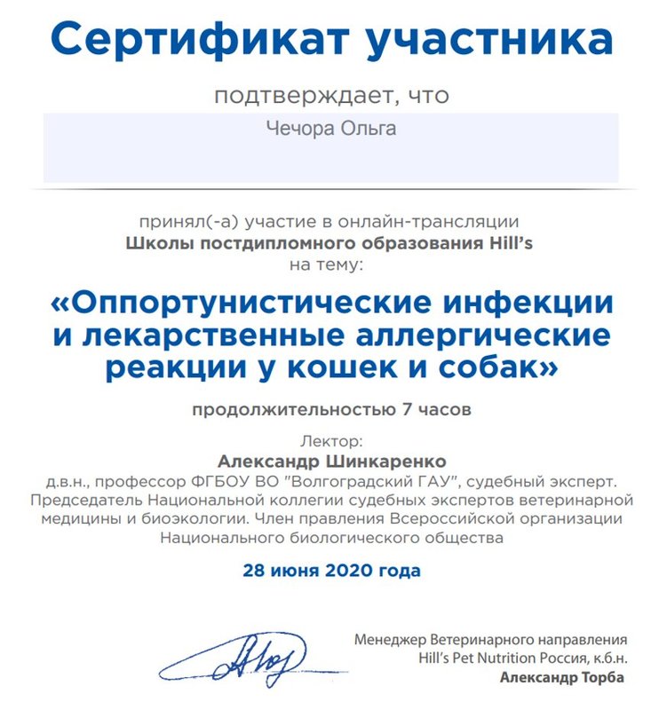 Документ или сертификат