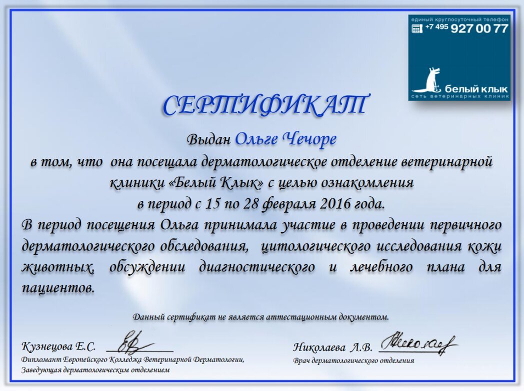 Документ или сертификат