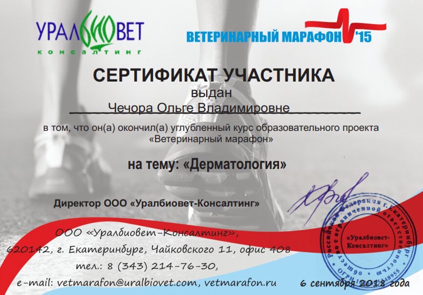 Документ или сертификат