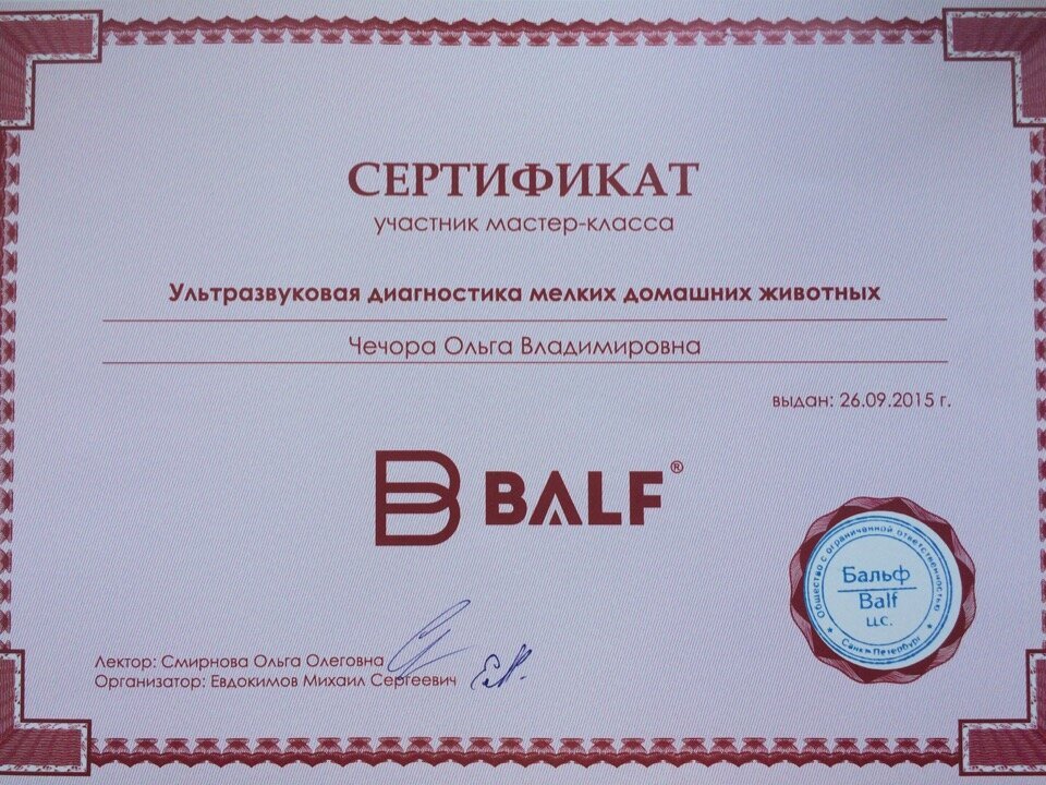 Документ или сертификат