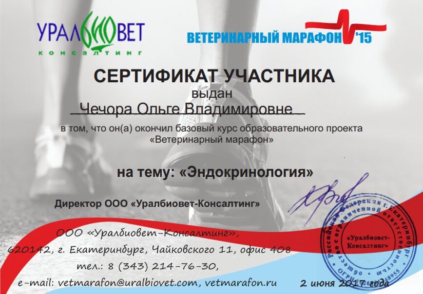 Документ или сертификат