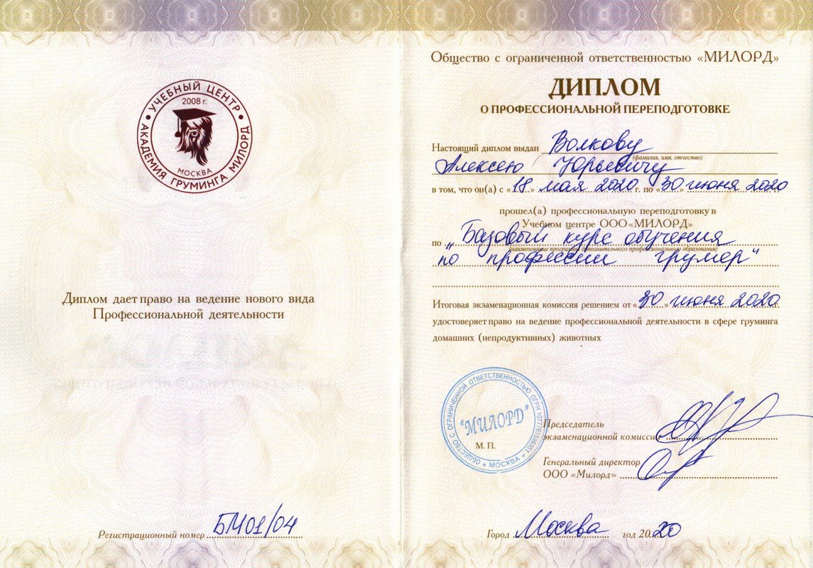 Документ или сертификат