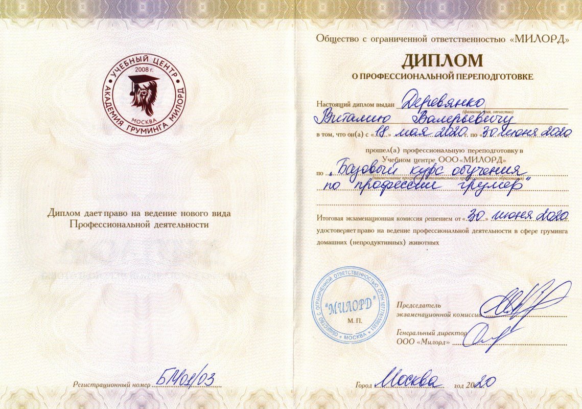 Документ или сертификат