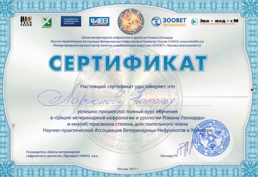 Документ или сертификат