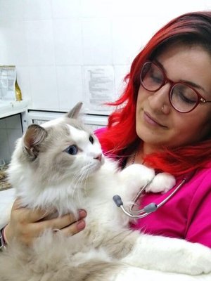 Фото врача Парамонова Алла Анваровна