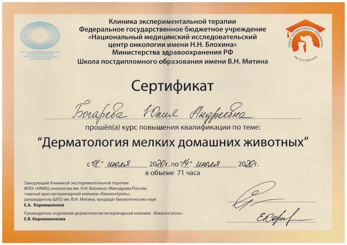 Документ или сертификат
