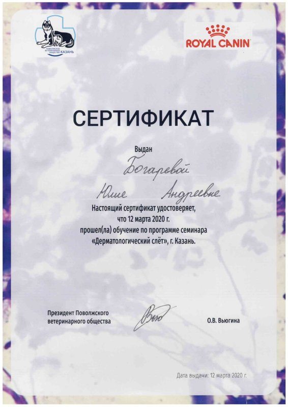 Документ или сертификат